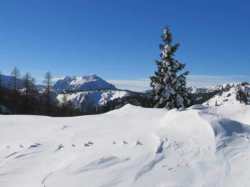 Buchbergkogel